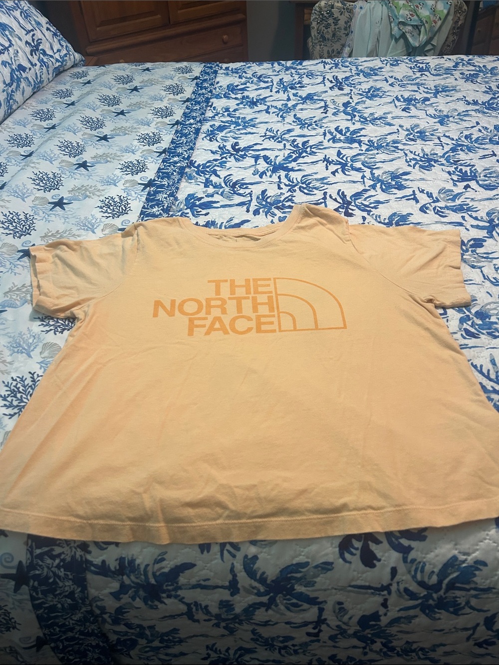 The North Face Peach Logo Short Sleeve Tee